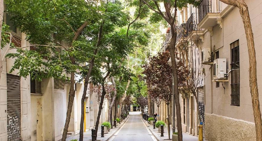 Arborer un espace Brettes - Truc