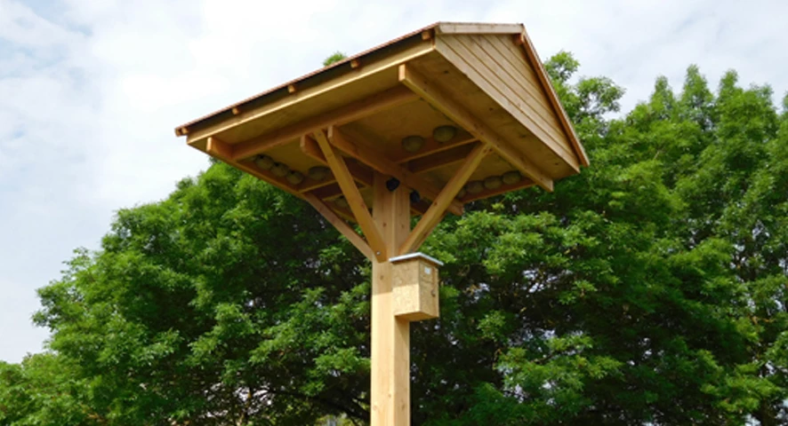 La tour à hirondelles