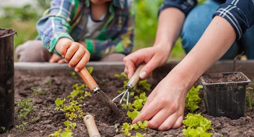 Le Jardin éco-citoyen du Jard
