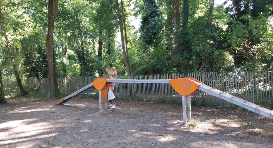 Parcours canin au Burck