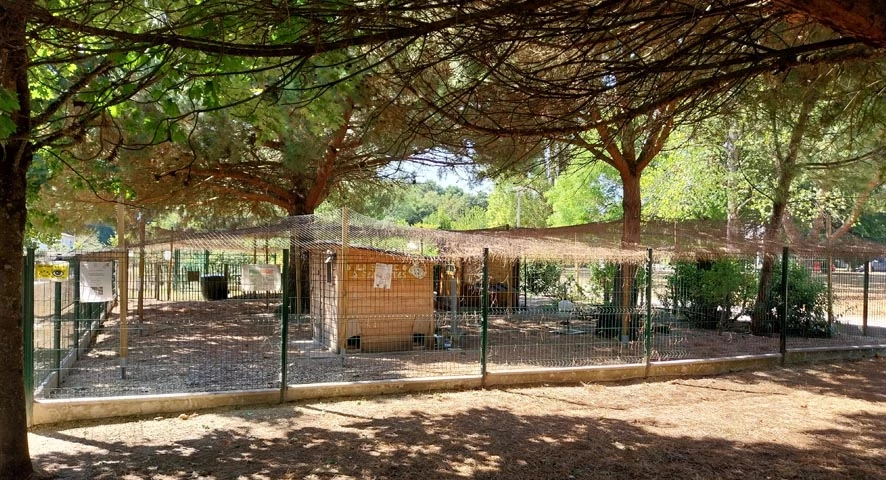 Poulailler collectif