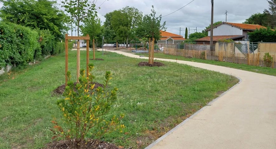 Une place réaménagée pour favoriser la biodiversité